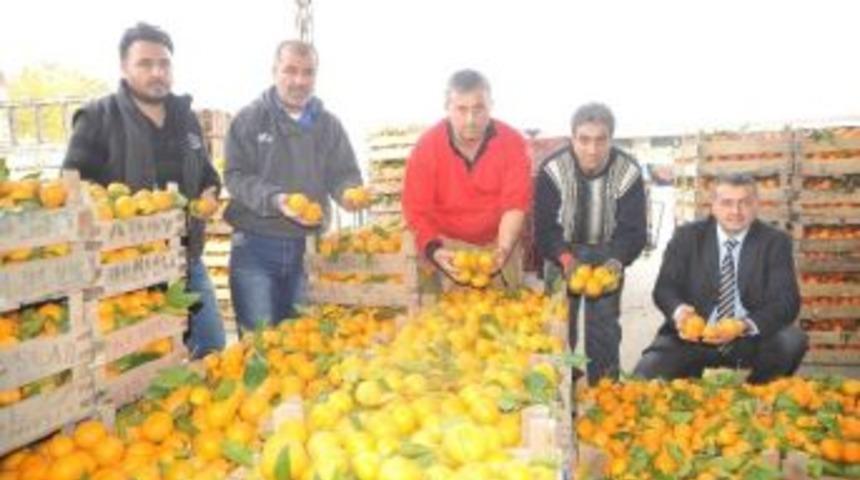 At&ccedil;alı &Uuml;reticinin Hedefi 5 Ayda 12 Milyon Tl