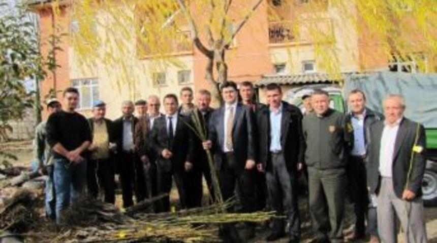 Hisarcık&rsquo;ta &Ccedil;ift&ccedil;ilere Bin 100 Ceviz Fidanı Dağıtıldı