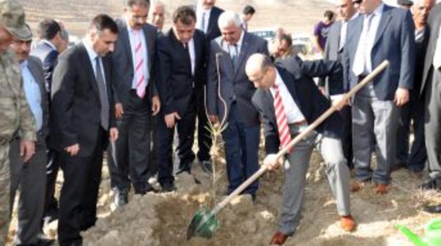 Atat&uuml;rk Barajı &Ccedil;evresi Ağa&ccedil;landırılıyor