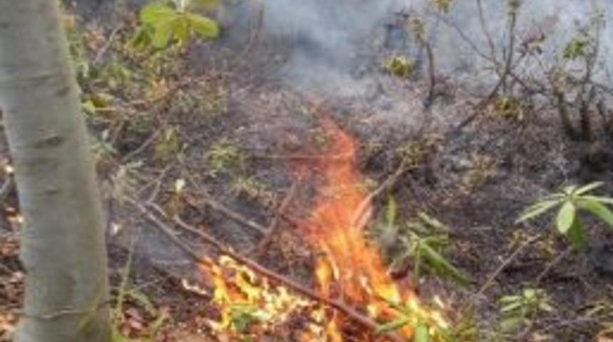 Zonguldak&rsquo;ta Orman Yangını