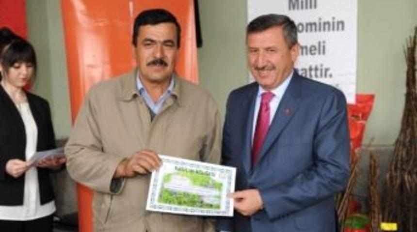 K&uuml;tahyalı &Uuml;reticilere Fidanı Ve Yem Bitkisi Tohumu