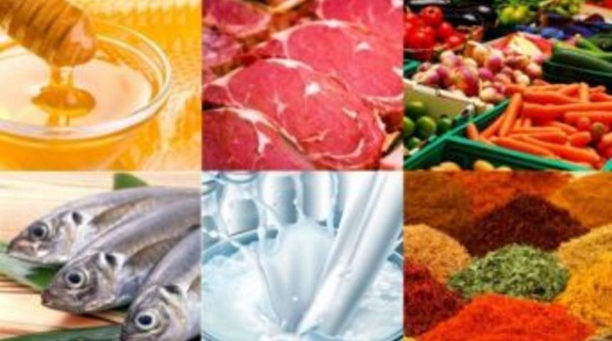 Kudaka, B&ouml;lge Tarım Sekt&ouml;r&uuml; Raporlarını Tamamladı