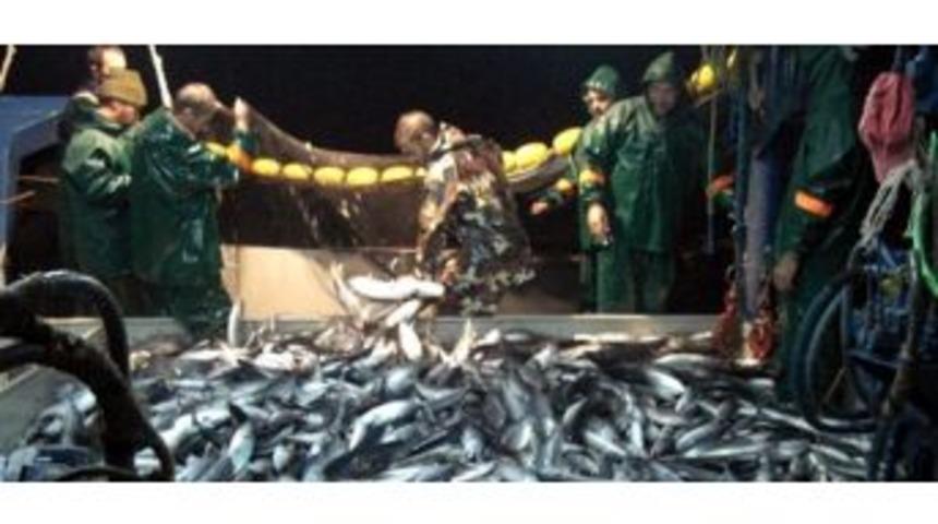 Gemi G&ouml;zlem &Ccedil;alışmaları Devam Ediyor