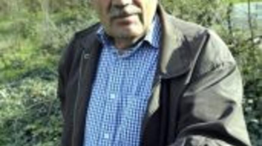 Kasım ayında erikler meyve verdi