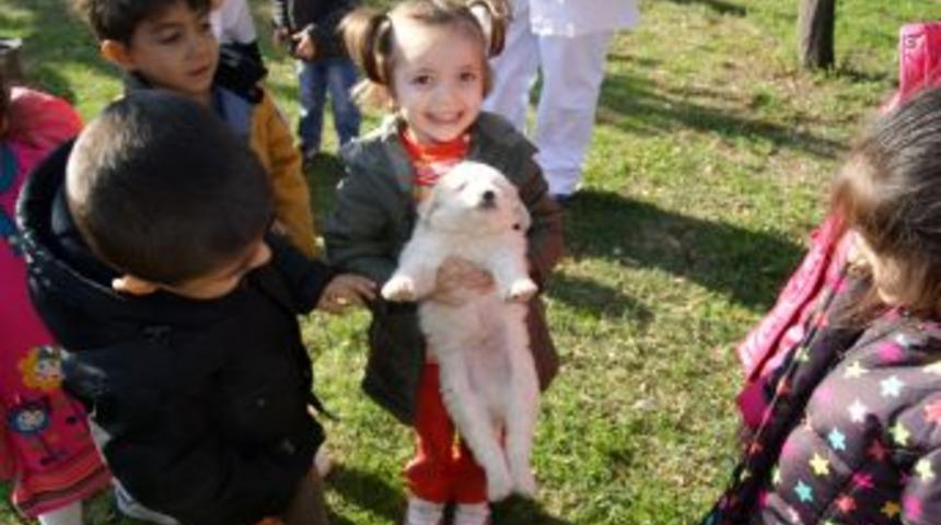 Minik &ouml;ğrencilere hayvan sevgisi aşılanıyor