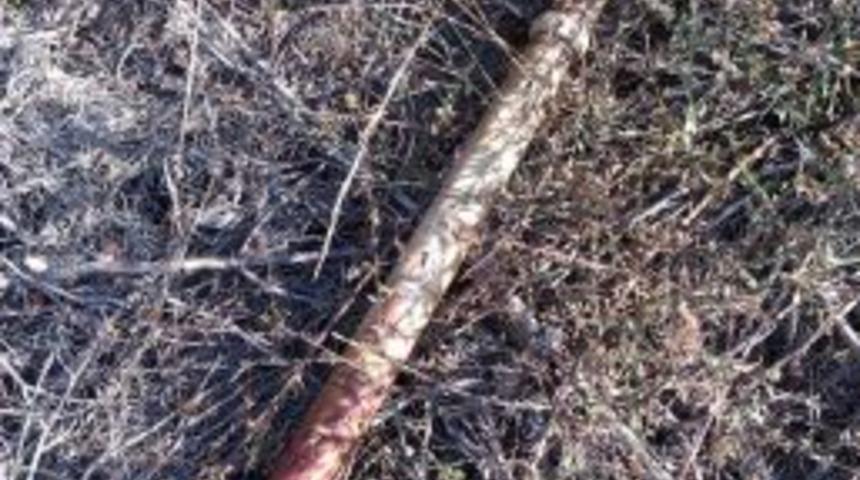 Cinayet Zanlısı 3 Kişi Tutuklandı