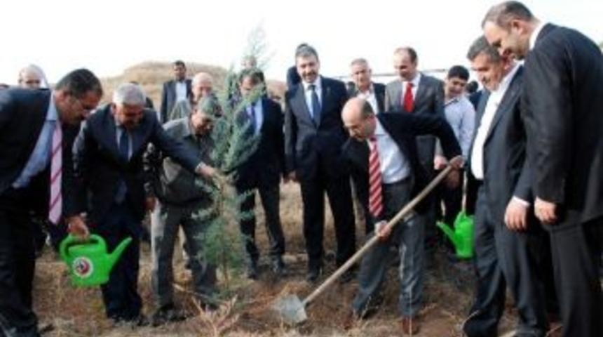 Yedi B&ouml;lgede Yedi Orman Oluşturulacak