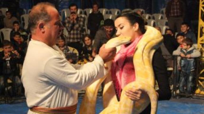 Bafralı &Ccedil;ocukların Piton Yılanı Ile Cesaret G&ouml;sterisi