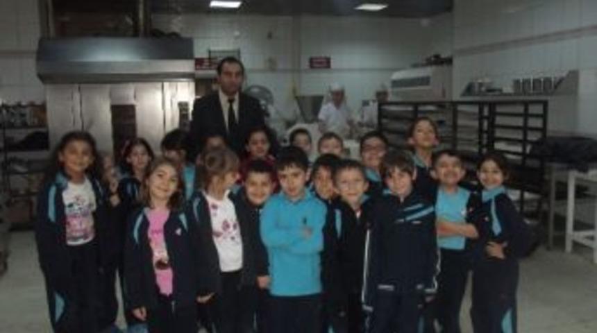 D&uuml;zce Fatih Koleji &Ouml;ğrencileri &Uuml;reterek T&uuml;ketimi Yaşadılar