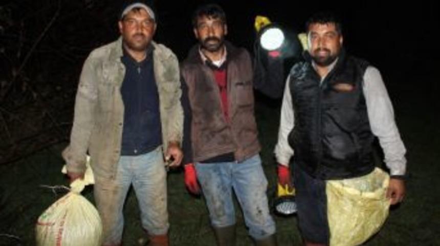 (&ouml;zel Haber) Yağmur Altında Salyangoz &Ccedil;ilesi