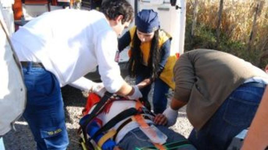 Kestiği Ağacın Altında Kaldı