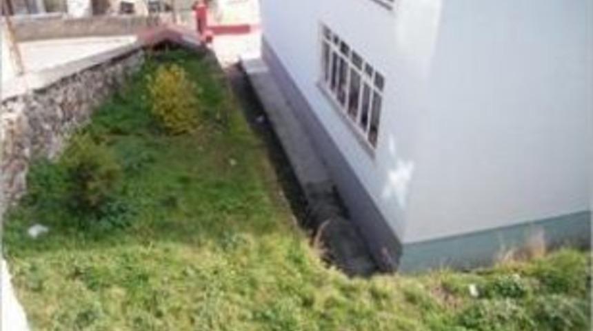 Okulum &ccedil;i&ccedil;ek a&ccedil;sın