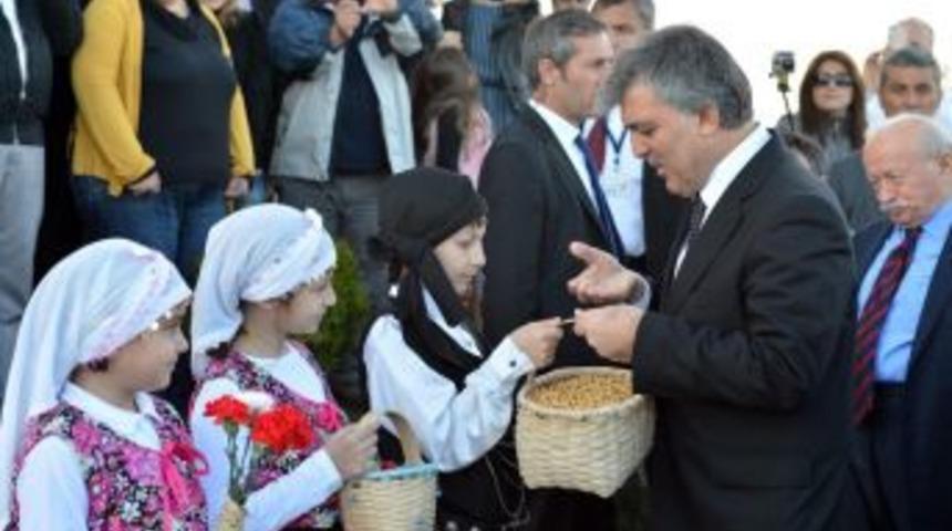 Cumhurbaşkanı G&uuml;l, Ordu Ve Giresun'dan Fotoğraf Paylaştı