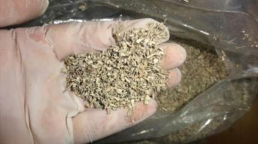 Alaplı'da 50 gram bonzai yakalandı