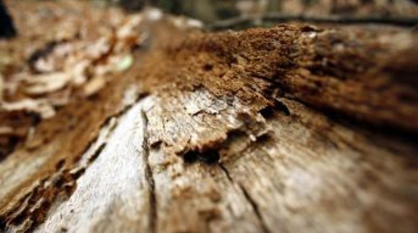 Bursa Sadağı Kanyonu Hizmete Girdi