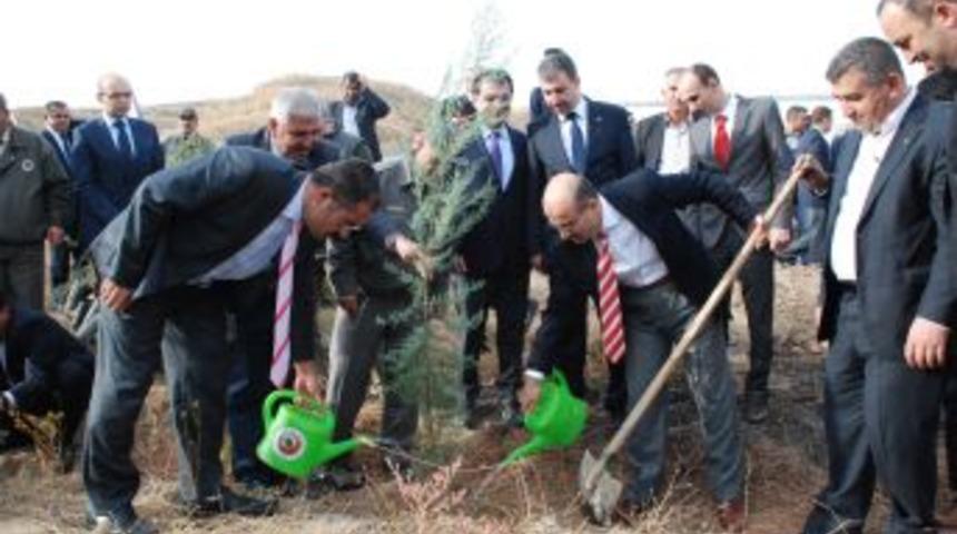 'Yedi B&ouml;lge Yedi Orman' Projesi Ile Adıyaman Yeşilleniyor