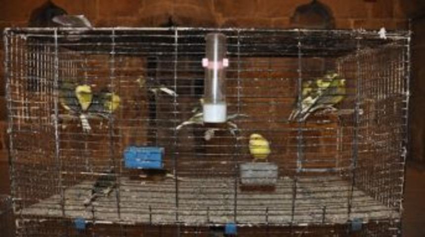 'en İyi &Ouml;t&uuml;m Yarışması' Sonu&ccedil;landı