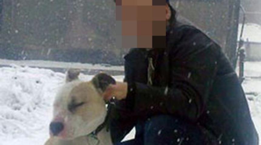 Uşak'ta pitbull dehşeti