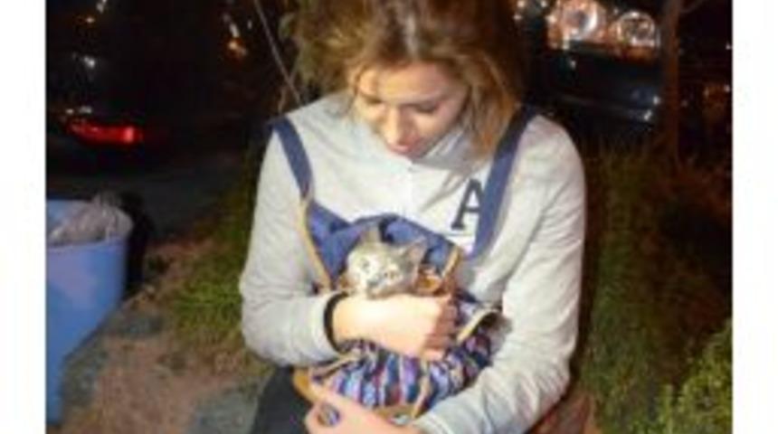 Bolu'daki Deprem Zonguldak'ta Da Hissedildi