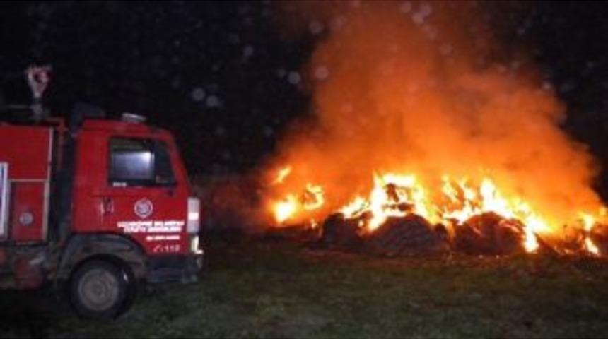 Edirne'de Samanlık Yangını