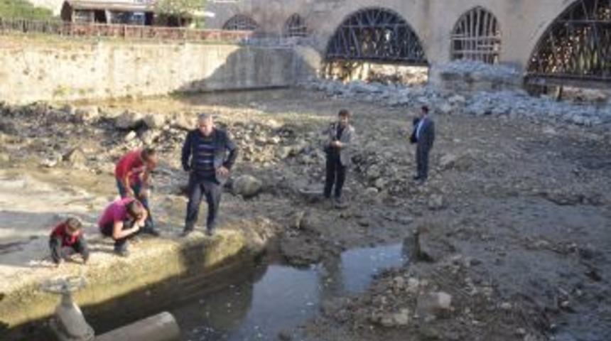 Binlerce Balık Itfaiye Suyuyla Kurtarıldı