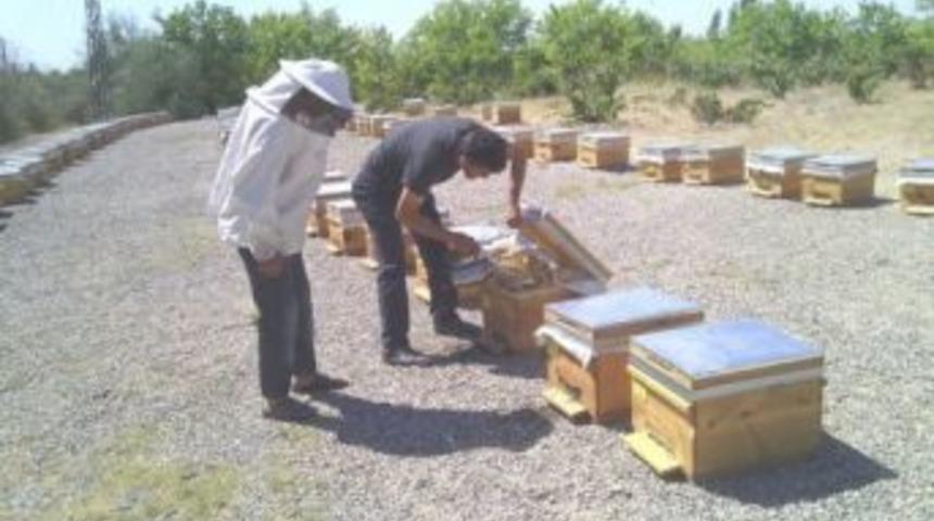 Tarımsal Yayım Ve Danışmanlık Projesi