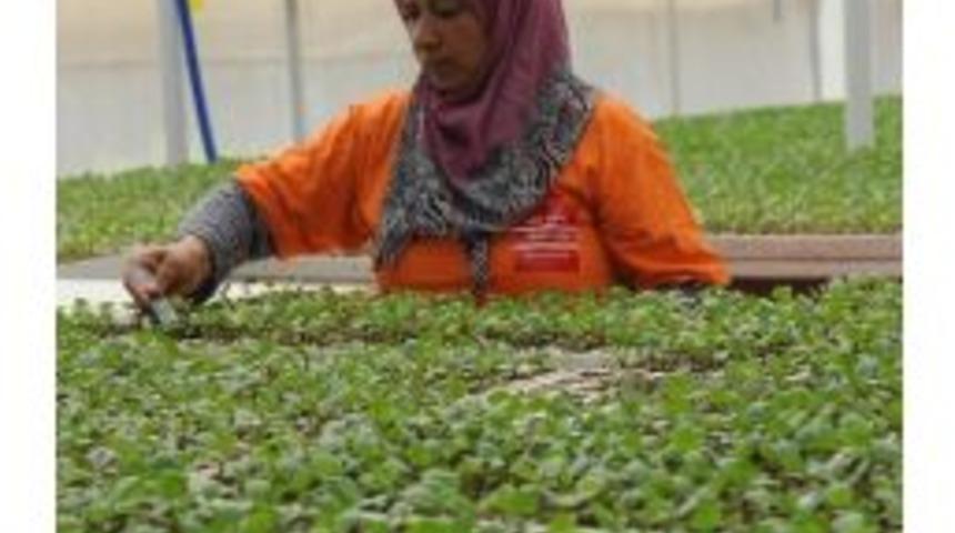 B&uuml;y&uuml;kşehirden 2 Milyon &Ccedil;i&ccedil;ek