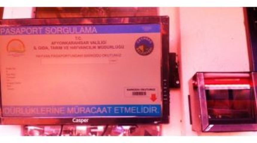 Afyonkarahisar&rsquo;da Hayvancılık Hizmetlerinde Yeni Bir Uygulama