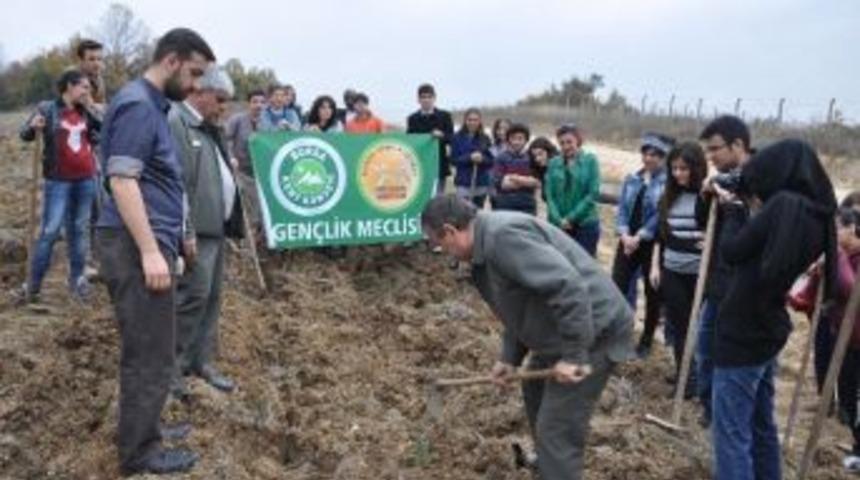 Gen&ccedil;lik Meclisi Fidan Dikti