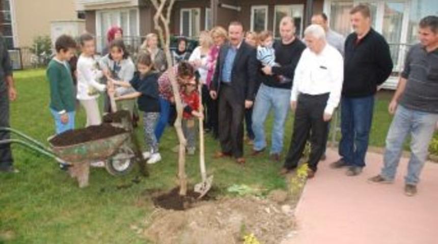 Başkan Doğan, Ağa&ccedil; Dikimine Katıldı