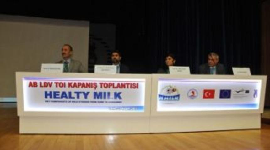 Healty Milk Projesi Sona Erdi
