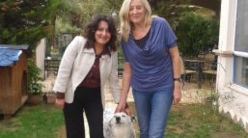 Ak Partili Tozan'a Haytap Desteği