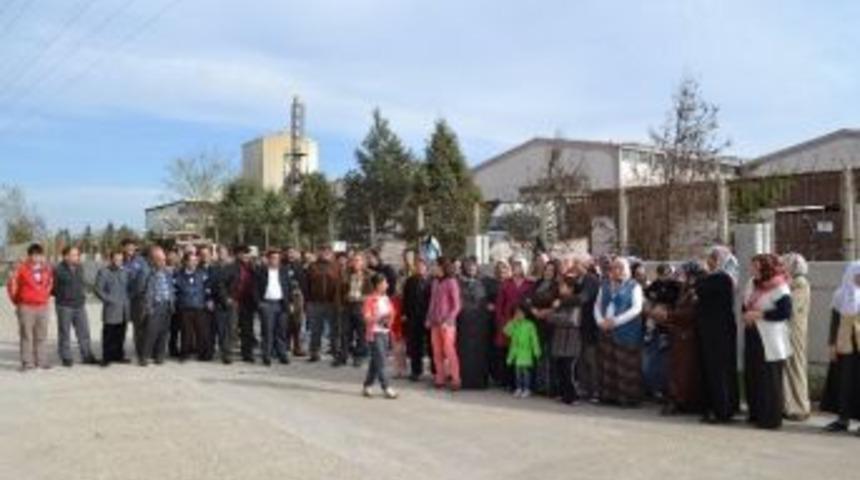 Vatandaşın Fabrika Dumanı Tepkisi