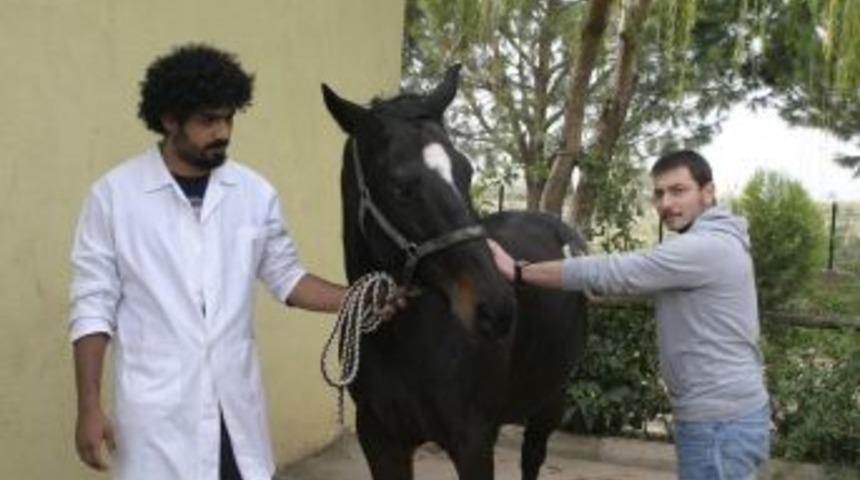Veterinerlik &Ouml;ğrencileri Atlarla Sıkıntı Atıyor