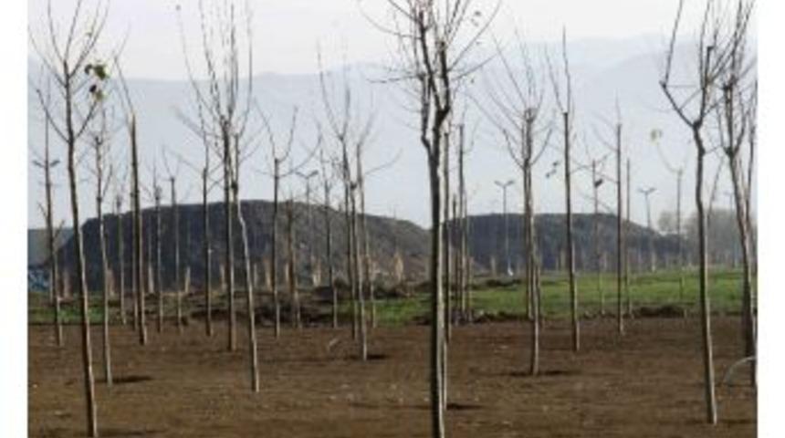 İzmit Doğu Sahili Ağa&ccedil;landırılıyor