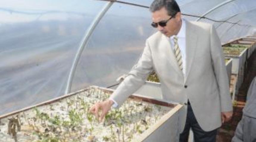 &Uuml;niversitenin &Ccedil;evreci &Ouml;ğrencileri