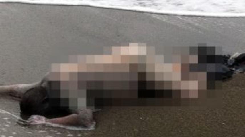 Dat&ccedil;a sahilinde ceset bulundu