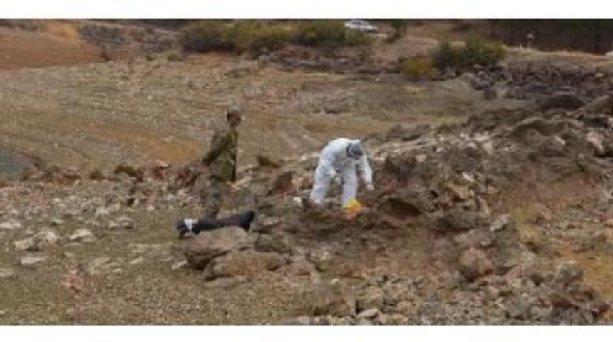 Başı Ezilerek &Ouml;ld&uuml;r&uuml;lm&uuml;ş Erkek Cesedi Bulundu