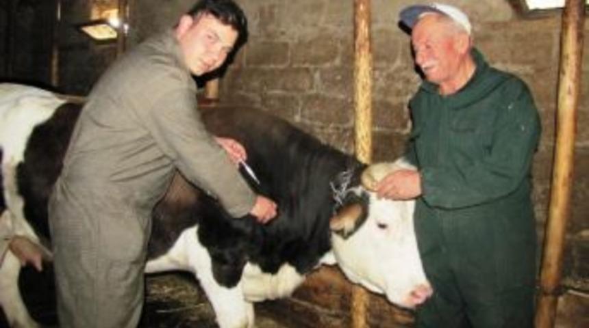 Hisarcık&rsquo;ta Şap Aşılama Kampanyası