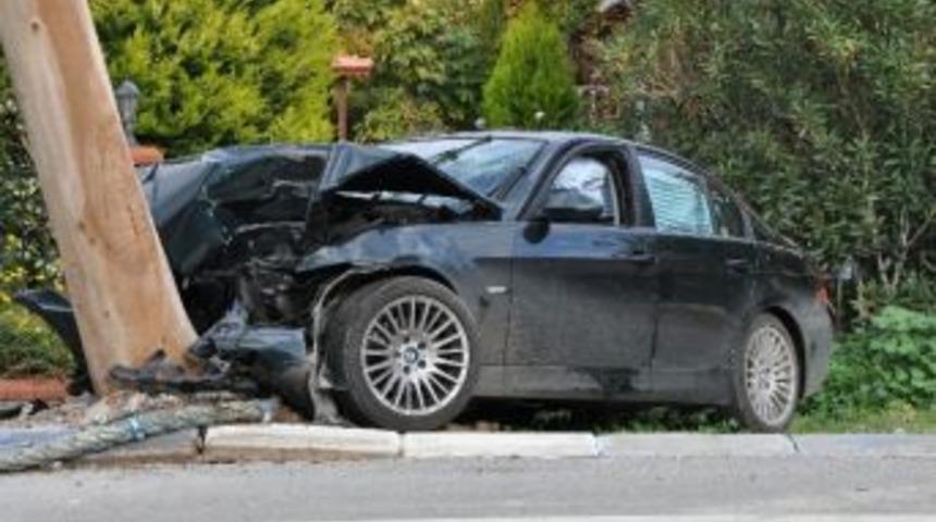 Okalipt&uuml;s Ağacına &Ccedil;arparak Durabildi