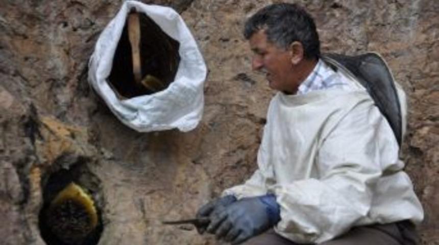 Doğal Balı Kaya Kovuklarında &Uuml;retiyor