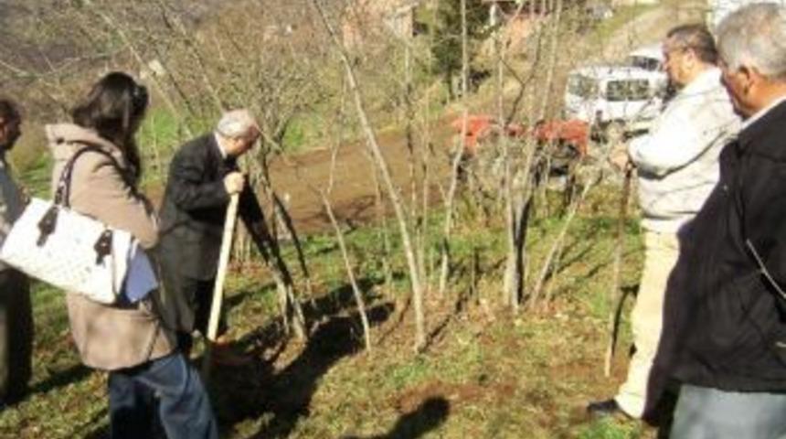Fındıkta G&uuml;breleme Uyarısı
