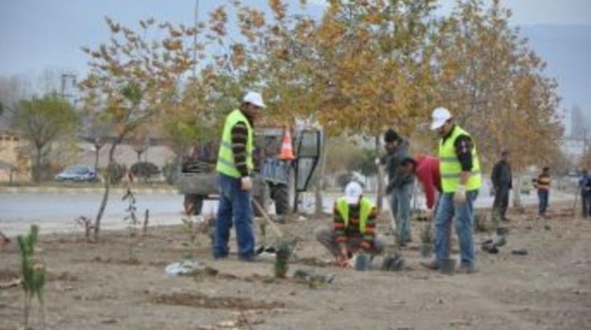 Doğu İle Batıyı Birbirine Bağlayan Yolda &Ccedil;alışma