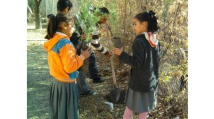 &Ouml;ğrenciler Ağa&ccedil; Dikti