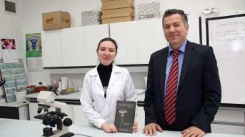 Zehirli Mantarlara Dikkat