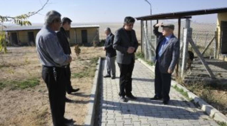 Başkan Uğurlu, Hayvan Barınağını İnceledi