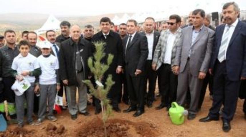 Gaziantep&rsquo;te 10 Bin Fidan Toprakla Buluştu