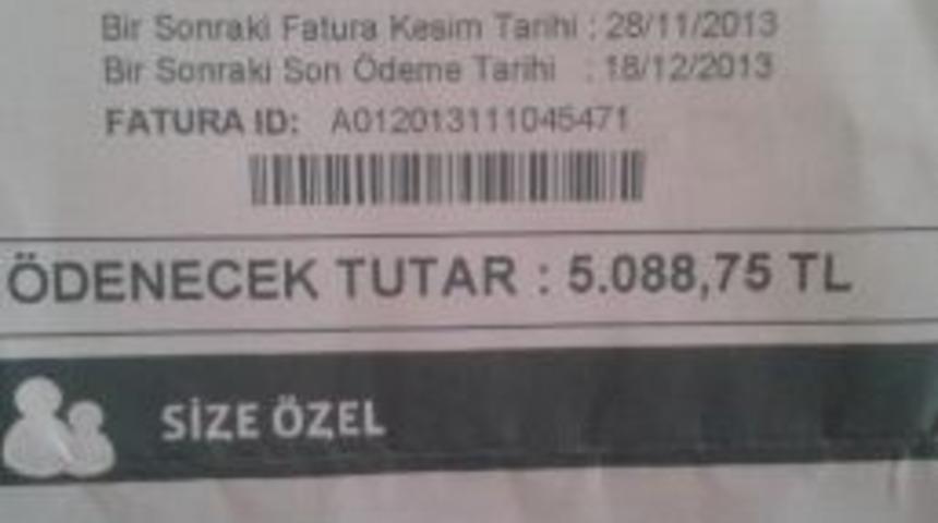 Patrona Tatili Zehir Etti