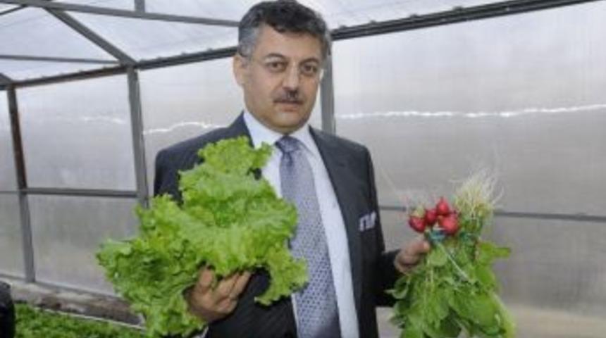 Yy&uuml; &Ouml;ğrencileri, Polikarbon Seralarda Eğitim G&ouml;r&uuml;yor