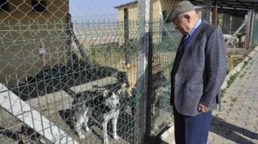 Başkan Uğurlu, Hayvan Barınağını Gezdi